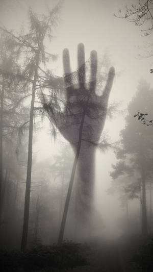 A Gloomy And Creepy Deep Forest Wallpaper