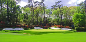 A Golf Course With Green Grass And Trees Wallpaper