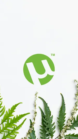 A Green Logo With Ferns And Leaves Wallpaper