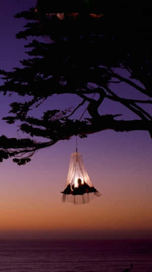 A Hammock Hanging From A Tree At Dusk Wallpaper