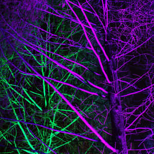 A Hypnotizing Image Of Bright Neon Green And Purple. Wallpaper
