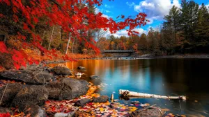 A Lake With Red Leaves And Rocks Wallpaper