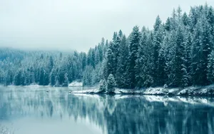 A Lake With Snow Covered Trees And A Snowy Landscape Wallpaper