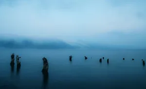 A Lake With Some Old Wooden Posts In The Water Wallpaper