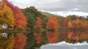 A Lake With Trees Wallpaper