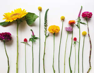 A Laptop Surrounded By Vibrant Blooming Flowers Wallpaper