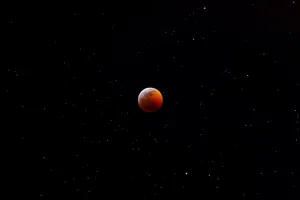 A Magnified View Of Human Blood Cells Wallpaper