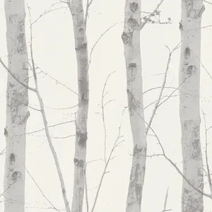 A Majestic Silver Birch Tree On A Bright Sunny Day. Wallpaper