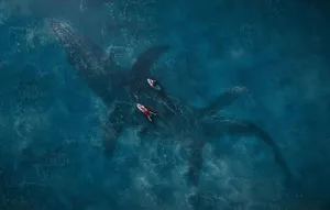 A Man And Woman Are Swimming In The Ocean With A Whale Wallpaper