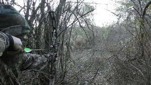 A Man Is Aiming His Bow At A Tree Wallpaper