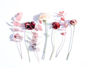 A Minimalist Flower Laptop Wallpaper