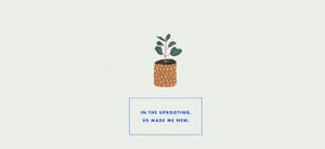 A Minimalist Representation Of The Bible. Wallpaper