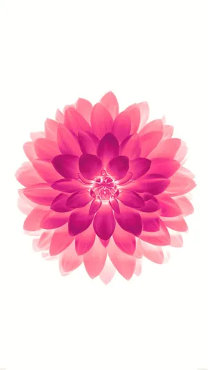 A Minimalist Spring, Perfect Representation Of A Fresh Start Wallpaper