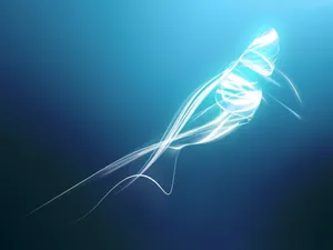 A Minimalistic Abstract Image Of A Blue And White Fish. Wallpaper