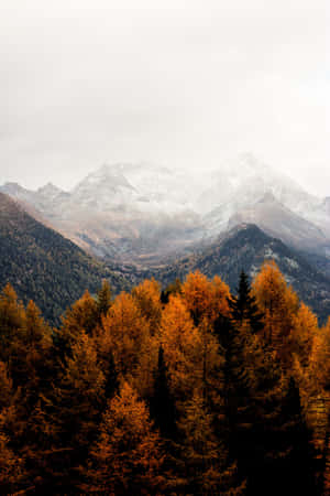 A Mountain Range With Trees In The Background Wallpaper