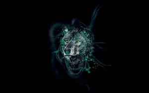 A Mysterious Wolf Wanders Through A Gloomy Forest Wallpaper