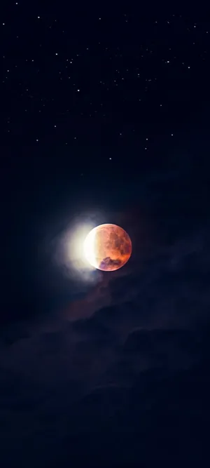 A Night Under The Mesmerising Full Moon Wallpaper
