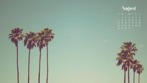 A Palm Tree Is Shown In The Background Of A Calendar Wallpaper