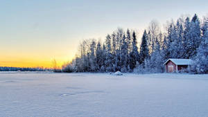 A Patch Of Snow-covered Trees And Buildings In Rural Scenery. Wallpaper