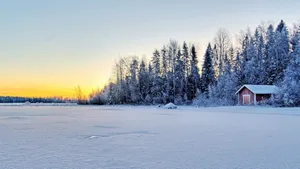 A Patch Of Snow-covered Trees And Buildings In Rural Scenery. Wallpaper