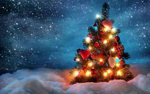 A Perfectly Lit Christmas Tree On A Cold Winter's Night Wallpaper