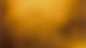 A Photograph Of A Yellow Background With A Black Background Wallpaper