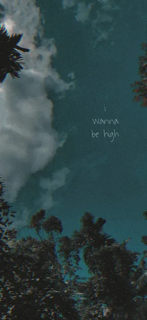 A Picture Of A Tree With Clouds In The Sky Wallpaper