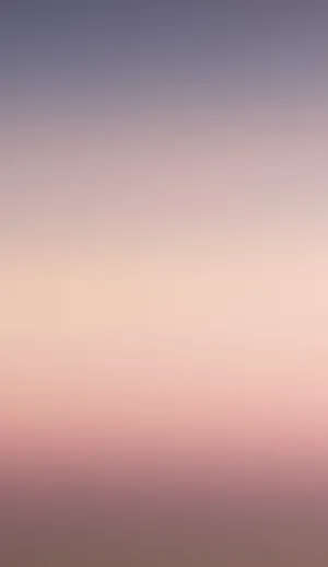 A Pink And Purple Sunset With A Plane In The Background Wallpaper