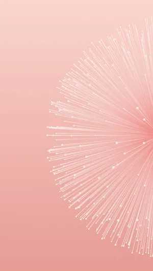 A Pink Background With A Dandelion Flower Wallpaper
