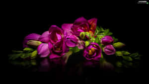 A Purple Flower Is On A Black Background Wallpaper
