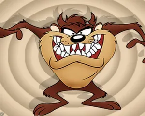 A Rare Sight - A Tasmanian Devil Close Up Wallpaper