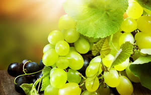 A Ravishing Cluster Of Centennial And Kyoho Grapes Wallpaper