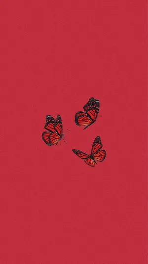 A Red Background With Three Butterflies On It Wallpaper