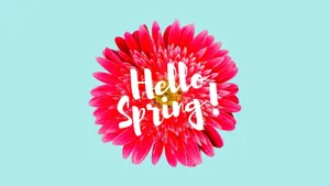 A Red Flower With A Script Overlay. Wallpaper