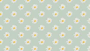 A Sage Green Laptop Sitting On A Desk Wallpaper