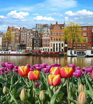 A Scene Resting On The Waters Of Amsterdam In Springtime Wallpaper