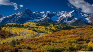A Scenic Wilderness In Denver Wallpaper
