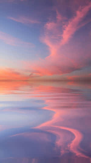 A School Of Precious Puppyfish, Ready To Play Wallpaper