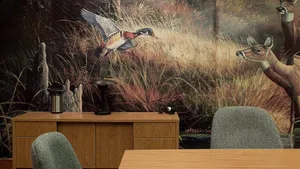 A Serene Park View For Zoom Background. Wallpaper