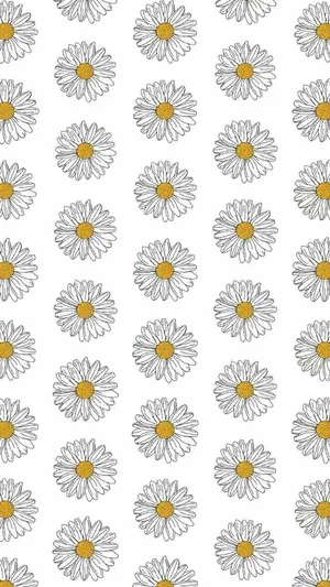 A Serene White Daisy Aesthetic Pattern Art Wallpaper