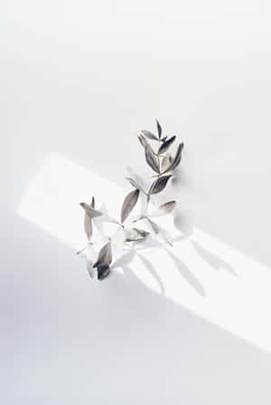 A Silver Leaf Is Sitting On A White Surface Wallpaper