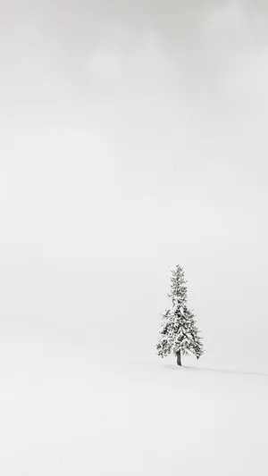 A Single Tree In A Snow Covered Field Wallpaper