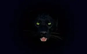 A Sleek Black Jaguar Rests Peacefully Wallpaper