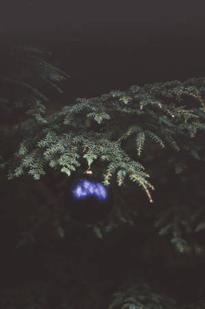 A Sparkly Blue Ball On A Christmas Tree Wallpaper