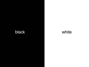 A Striking Contrast Between Half Black And Half White Backgrounds Wallpaper