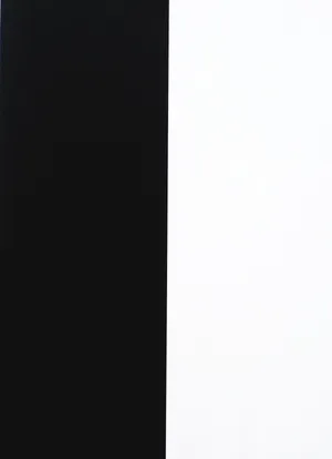 A Striking Split Background With Half Black And Half White Wallpaper