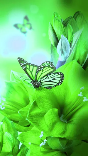 A Stunning Green Butterfly Wallpaper