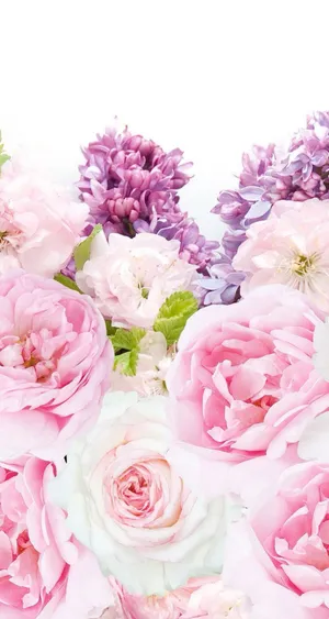 A Stunning Iphone Background Featuring A Gorgeous Pink Peony. Wallpaper