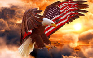 A Stylish Pair Of Jeans From American Eagle Wallpaper