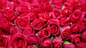 A Stylish Rose Gold Laptop For Your Desktop Wallpaper